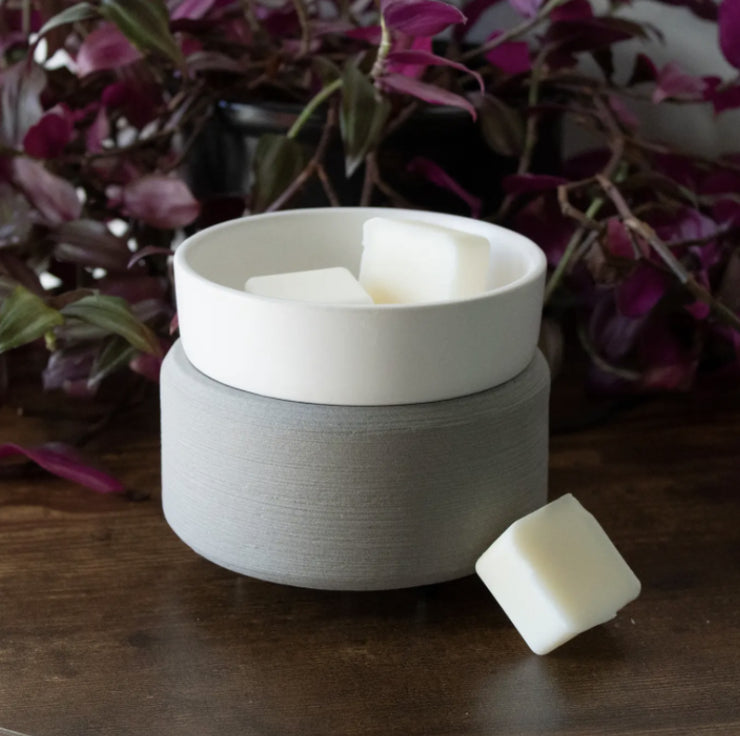 Electric 2-in-1 Wax Melter for Effortless Scents and Relaxation